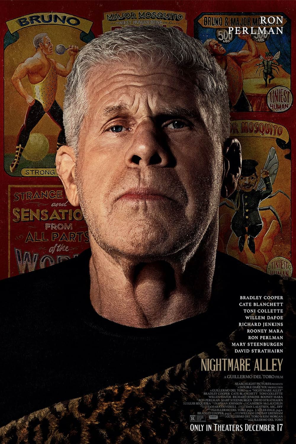 ナイトメア・アリーの画像