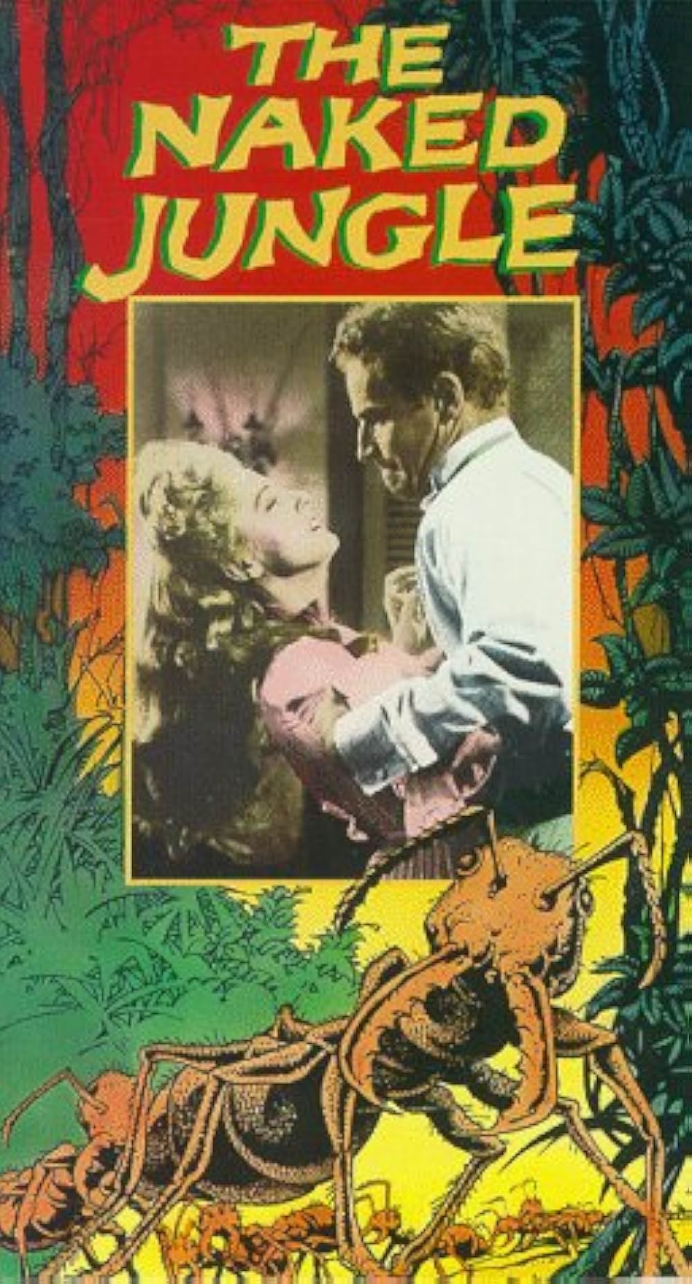 「黒い絨氈」の画像