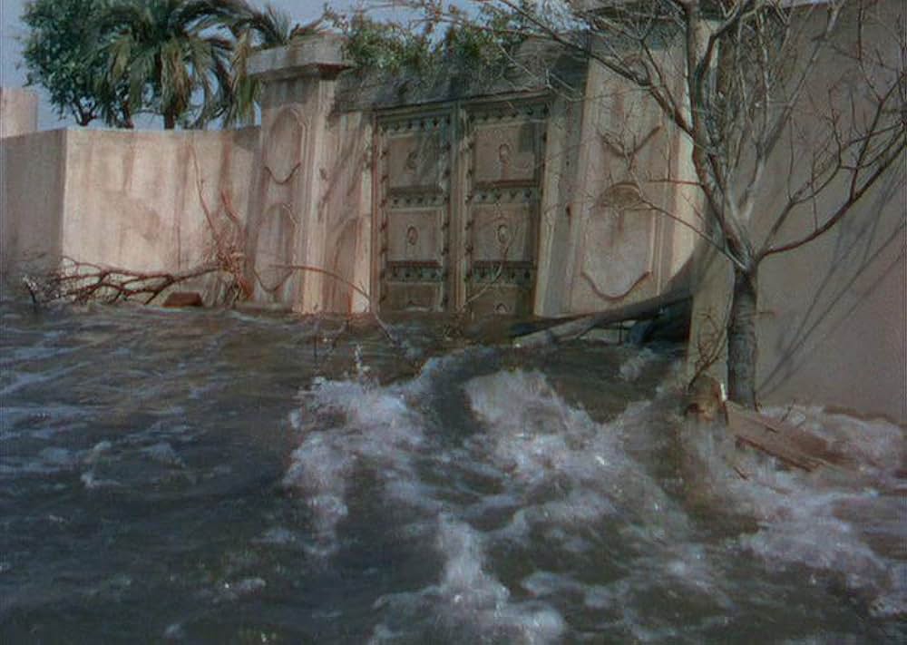 「黒い絨氈」の画像