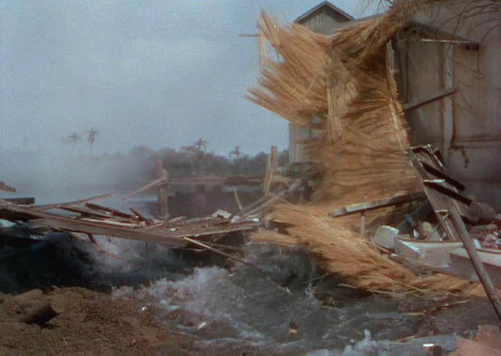 「黒い絨氈」の画像