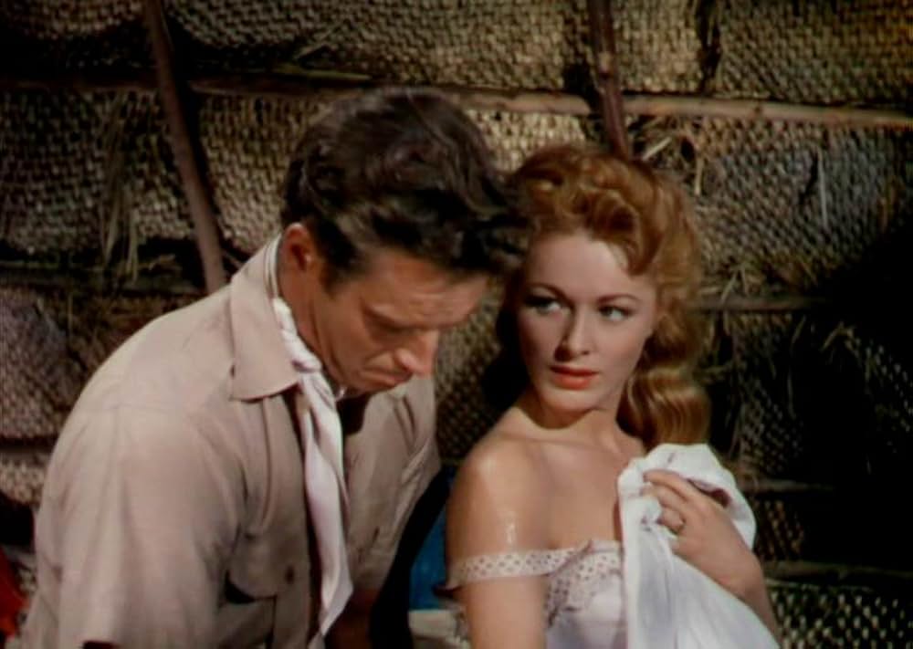 「黒い絨氈」の画像