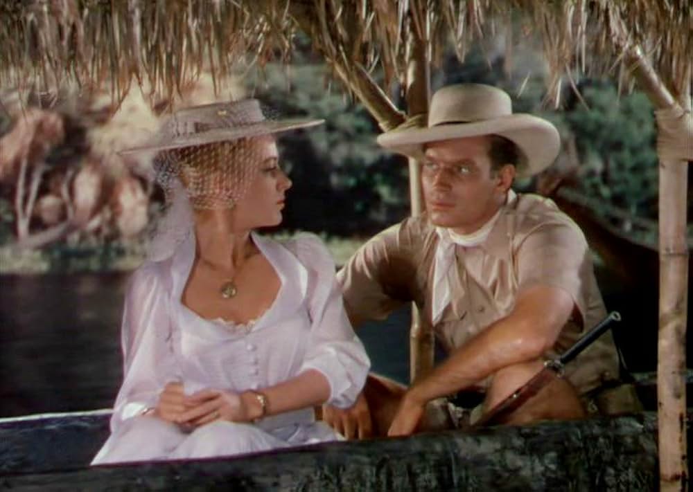 「黒い絨氈」の画像