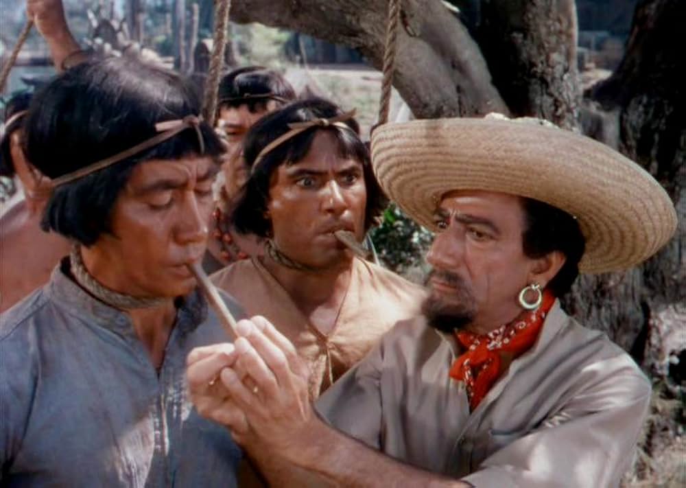 「黒い絨氈」の画像