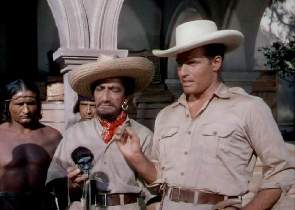 「黒い絨氈」の画像