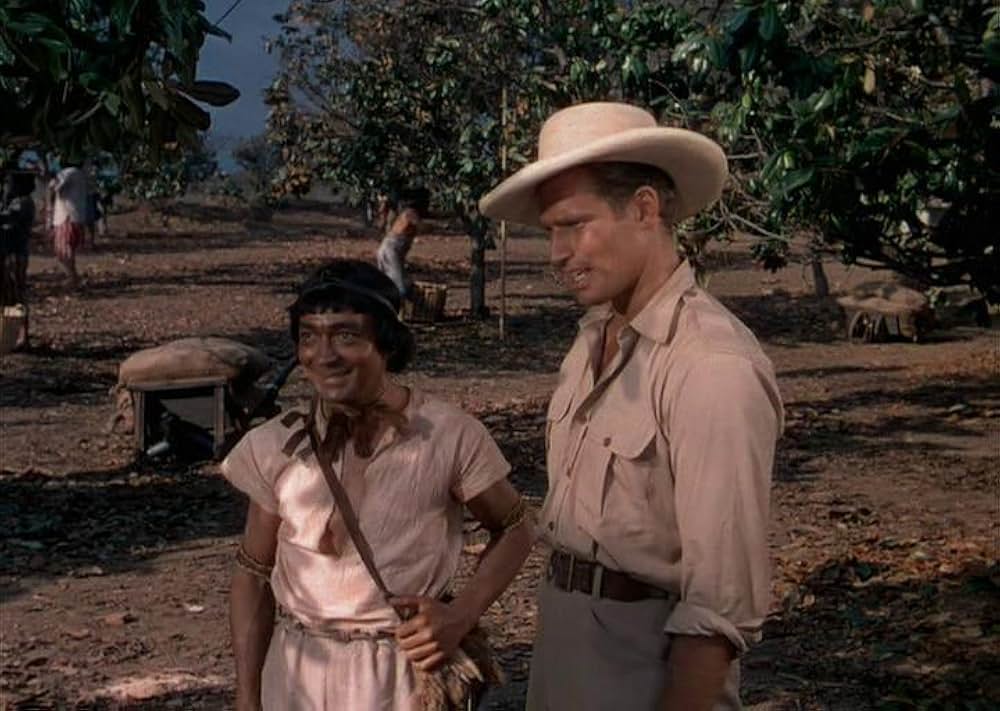 「黒い絨氈」の画像