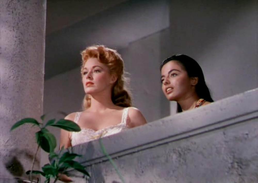 「黒い絨氈」の画像