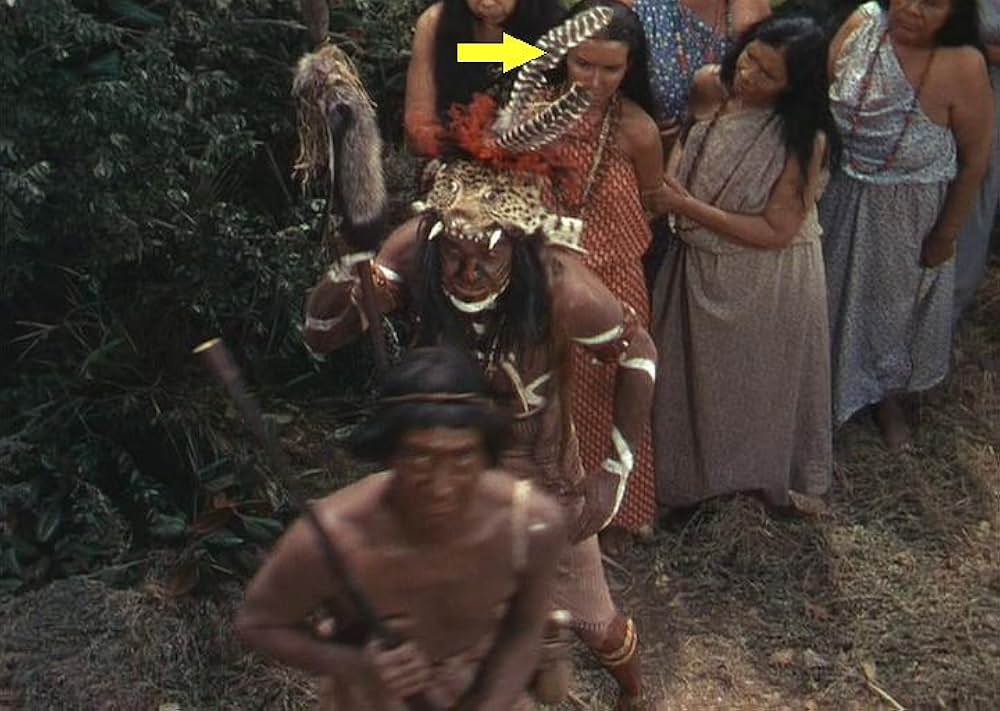 「黒い絨氈」の画像