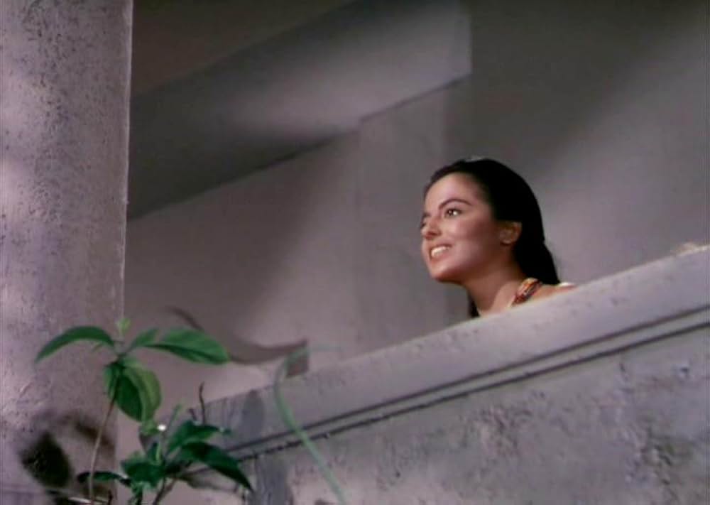 「黒い絨氈」の画像