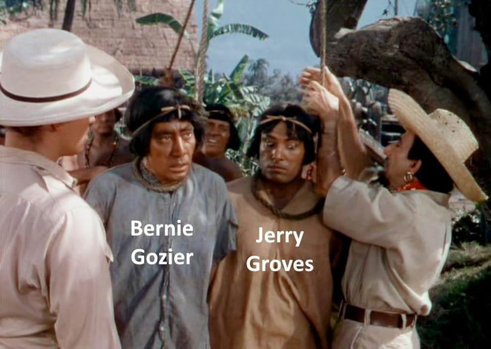 「黒い絨氈」の画像