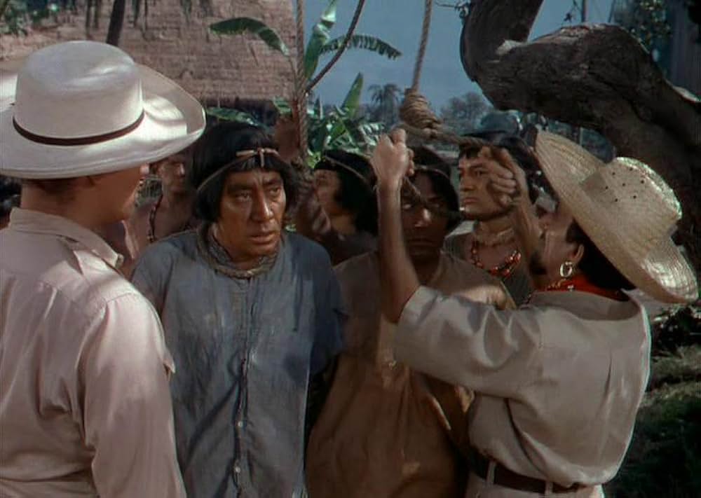 「黒い絨氈」の画像