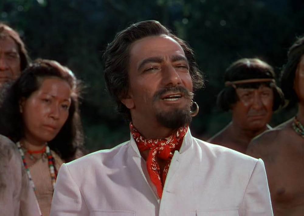 「黒い絨氈」の画像