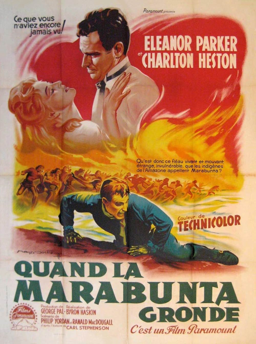 「黒い絨氈」の画像