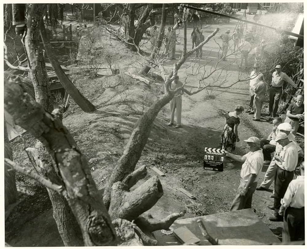 黒い絨氈の画像