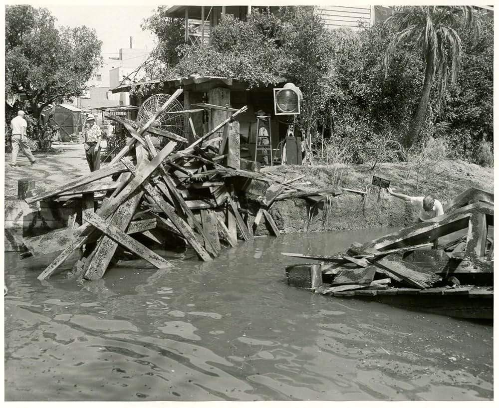 黒い絨氈の画像