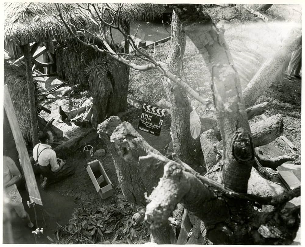 黒い絨氈の画像