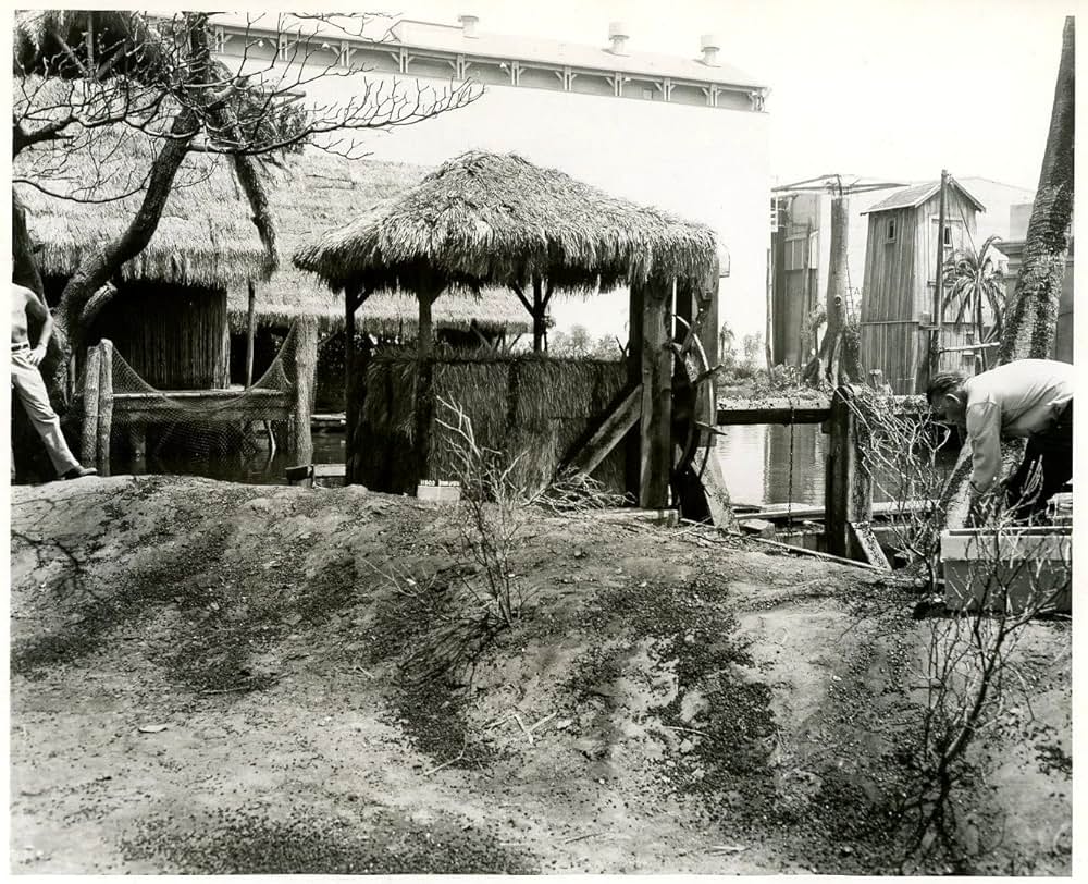 黒い絨氈の画像