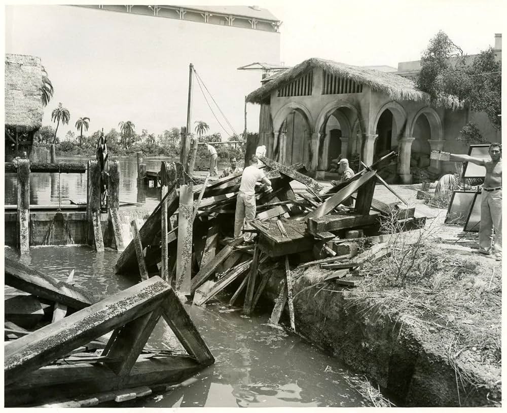 黒い絨氈の画像