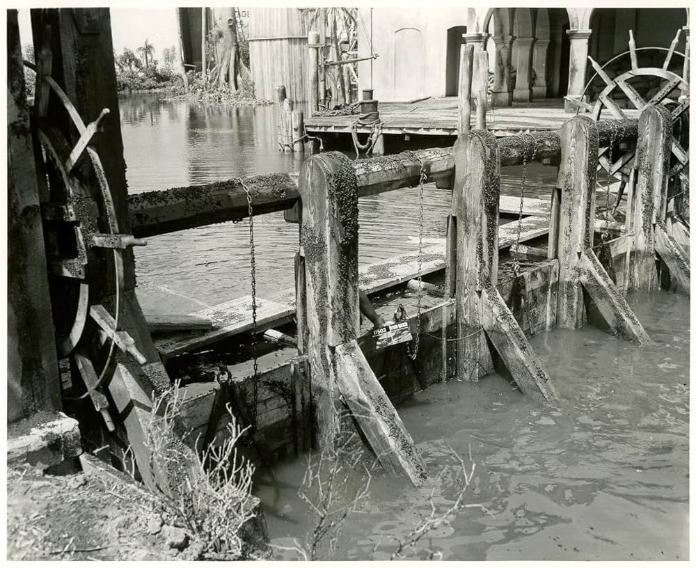 黒い絨氈の画像