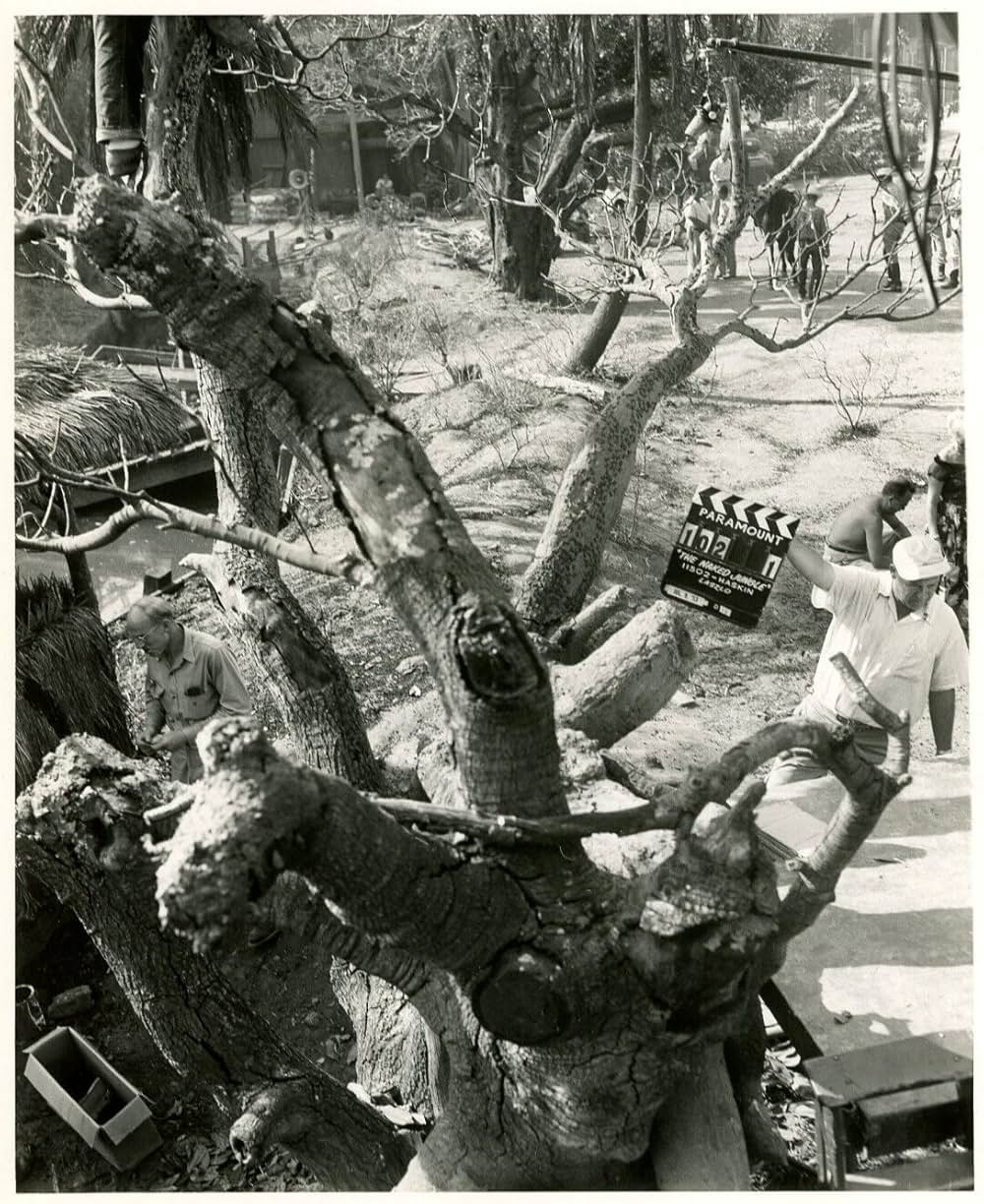 黒い絨氈の画像