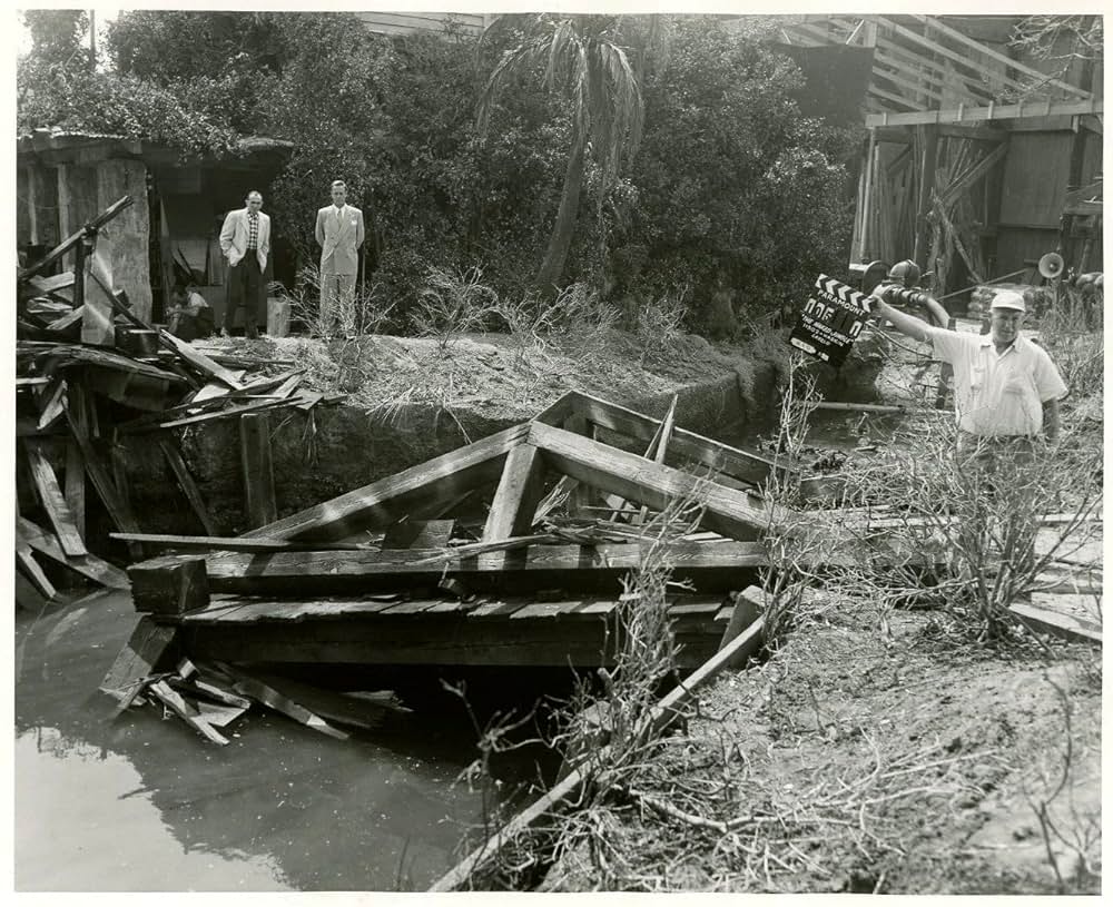 黒い絨氈の画像