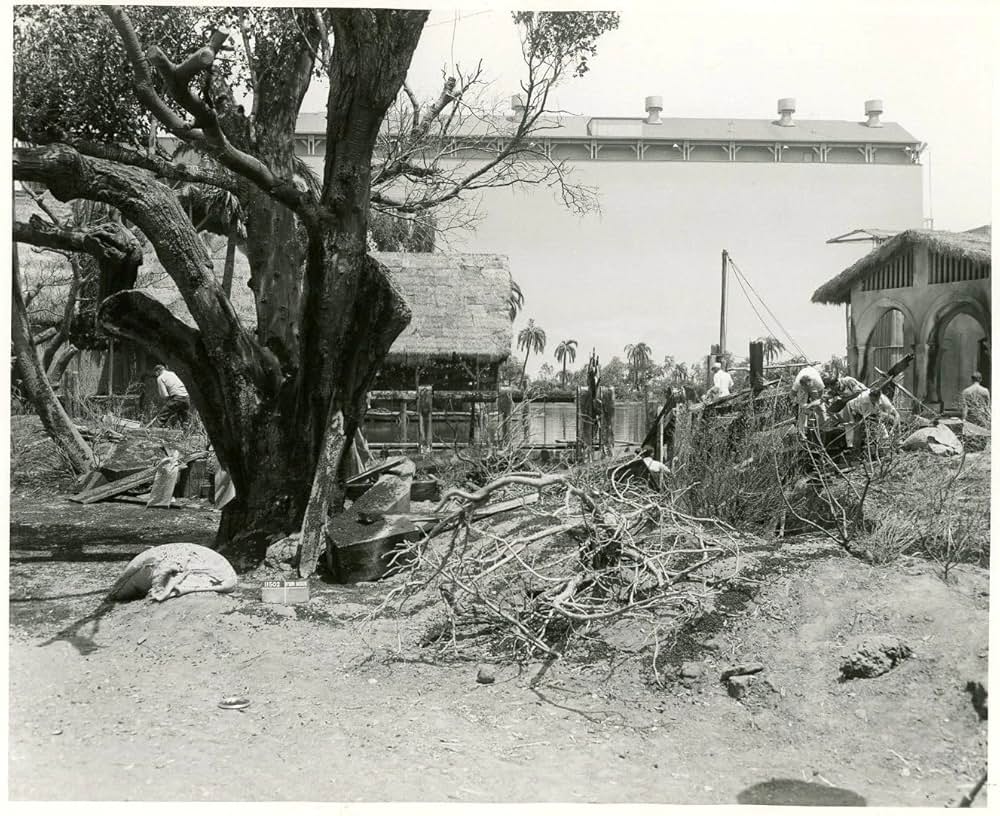 黒い絨氈の画像