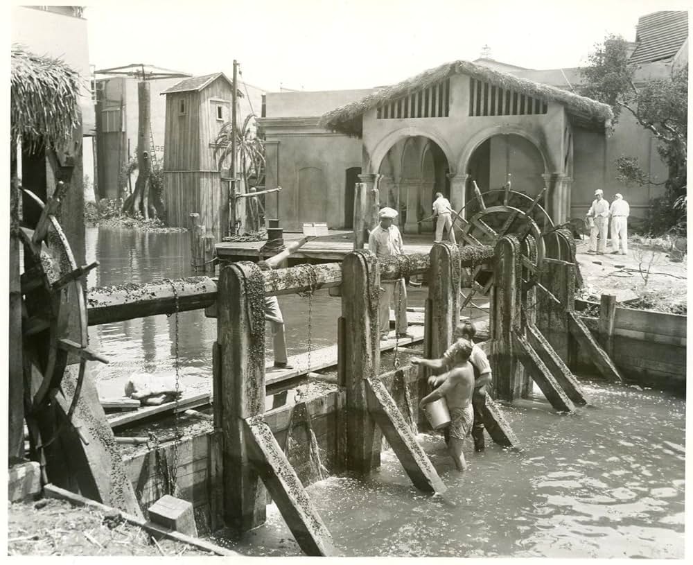 黒い絨氈の画像