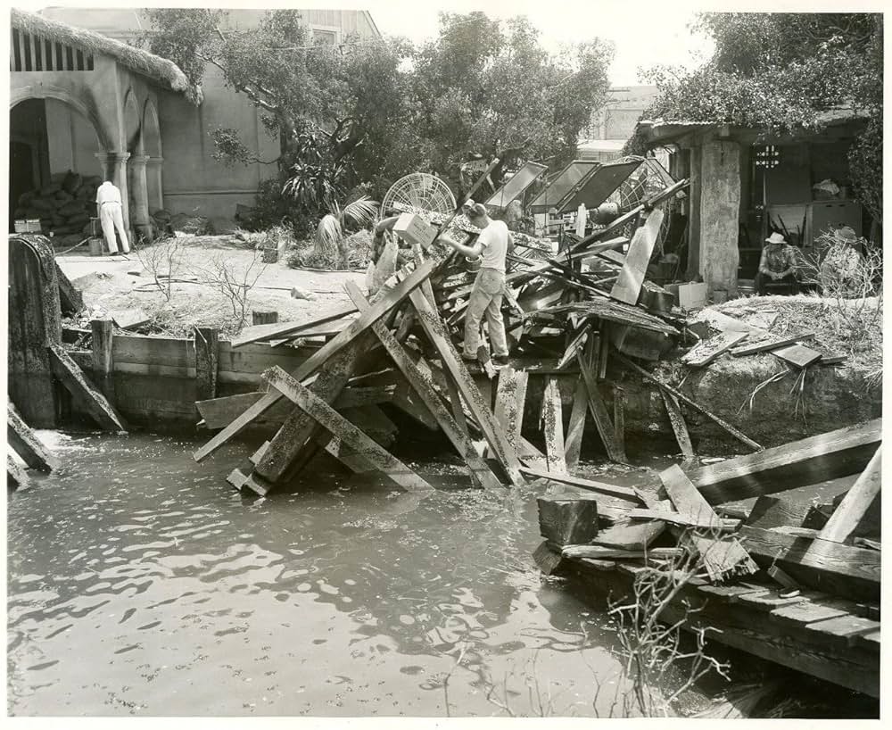 黒い絨氈の画像