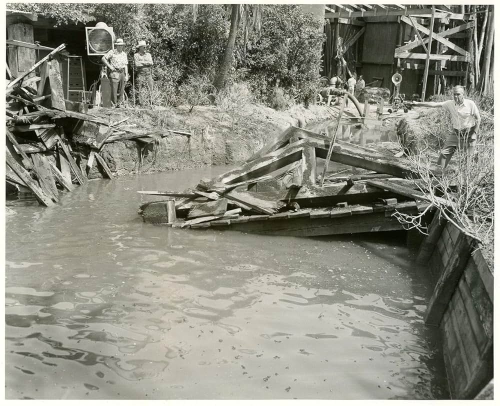 黒い絨氈の画像