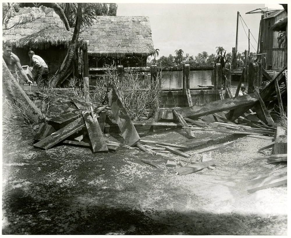 黒い絨氈の画像