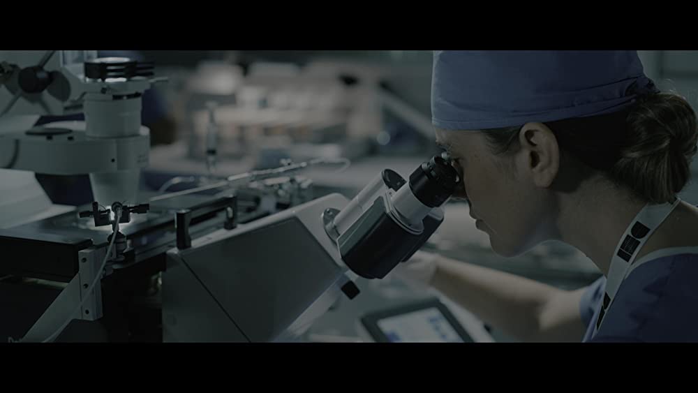 ヴォイジャーの画像