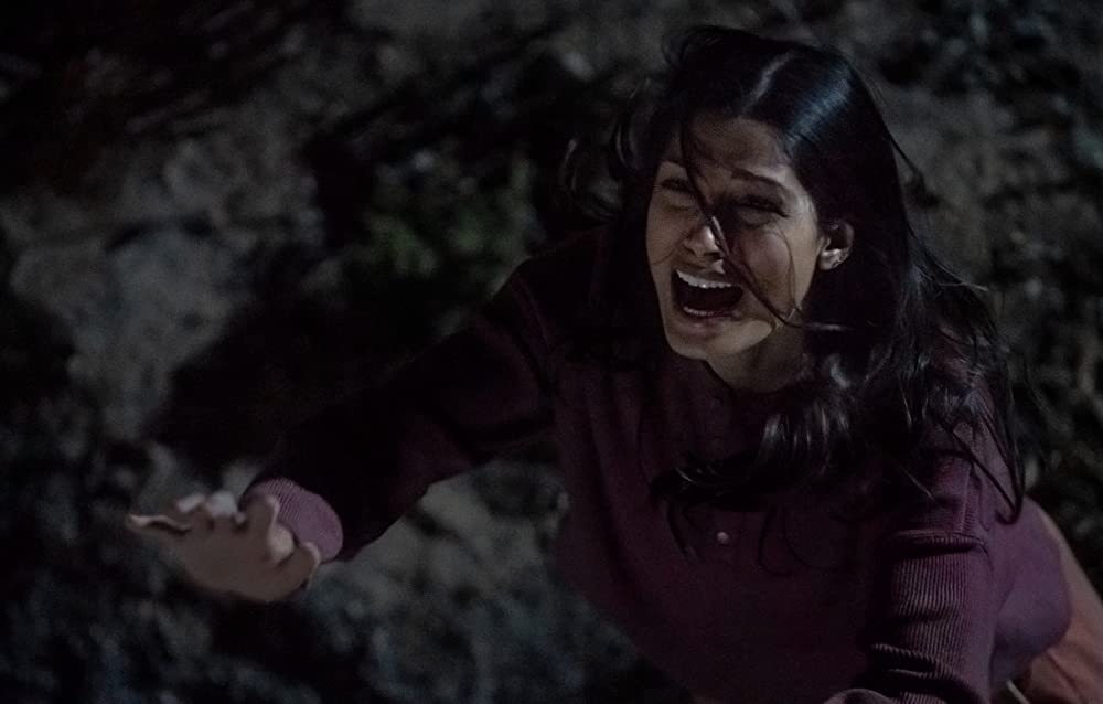 イントルージョン 侵入の画像