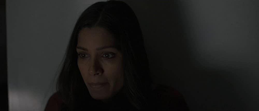 イントルージョン 侵入の画像