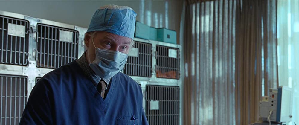 ムクドリの画像