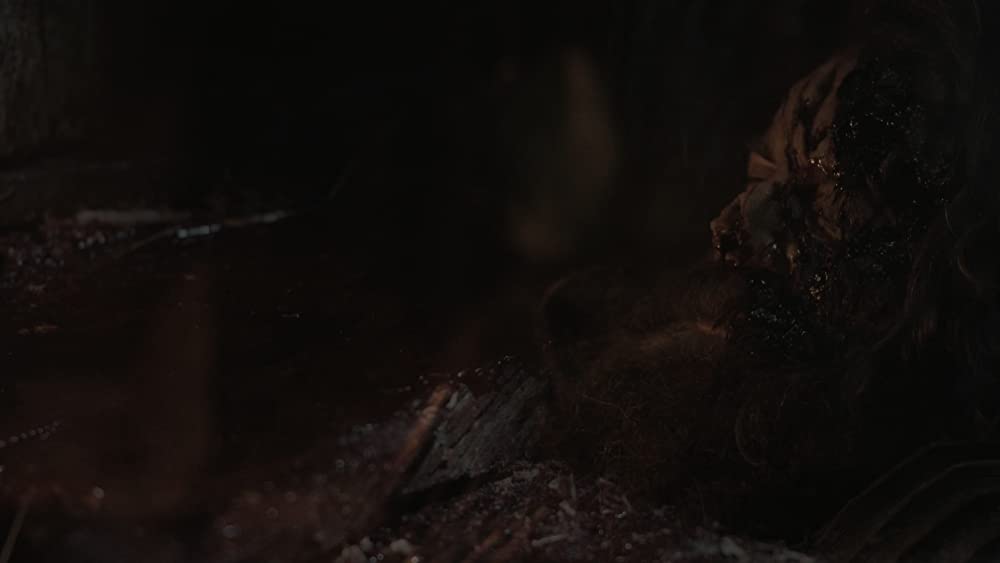 モンスターハンティング 復讐の狩人の画像