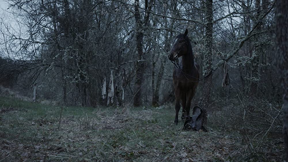 モンスターハンティング 復讐の狩人の画像