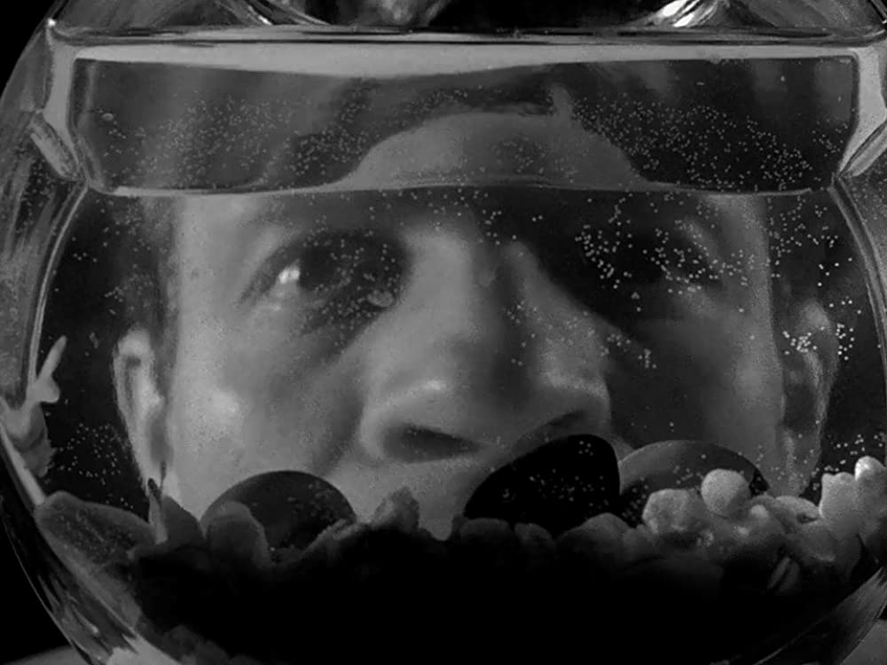 「非情の罠」ジャミー・スミスの画像