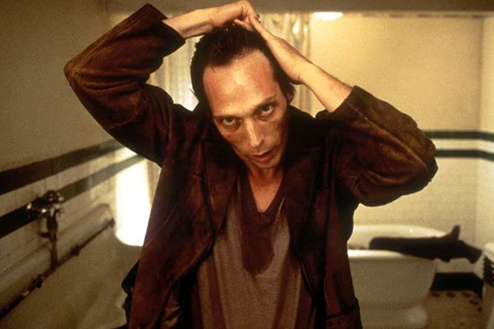 アルビノ・アリゲーターの画像