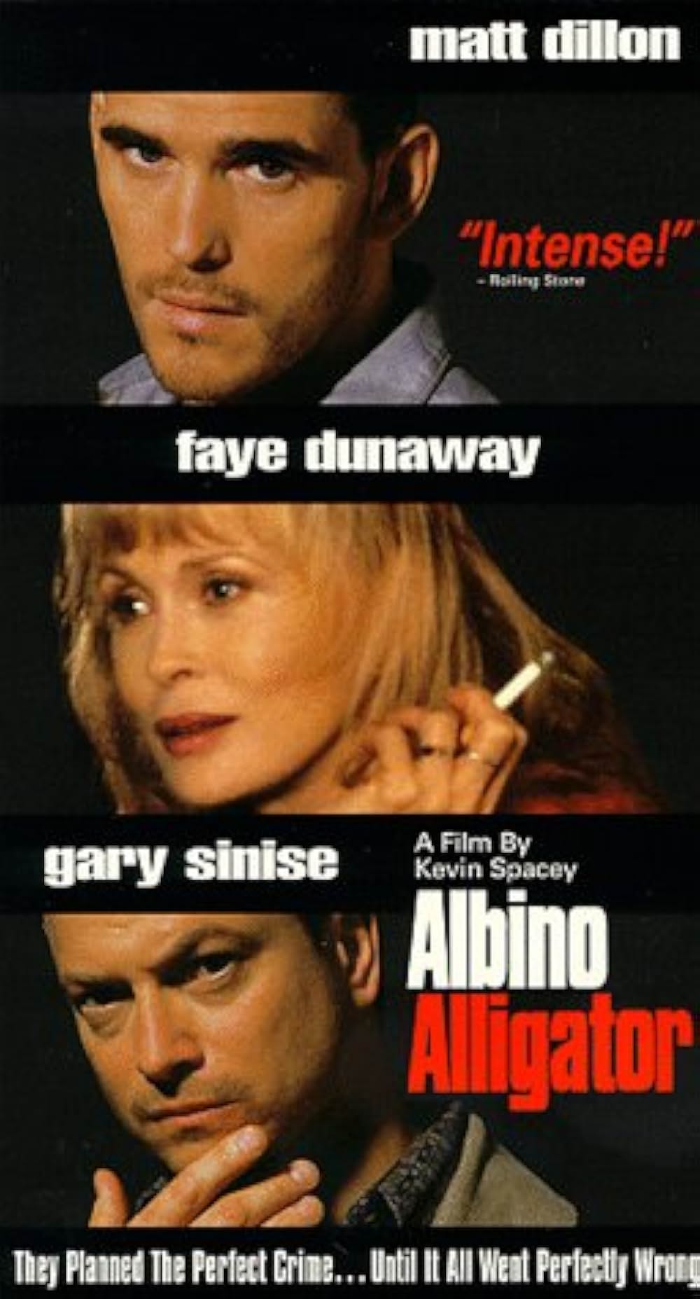 「アルビノ・アリゲーター」の画像