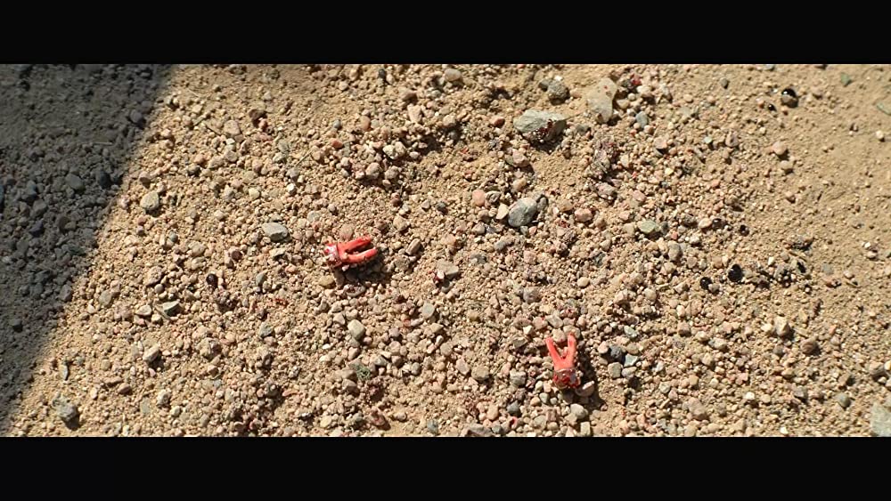 「ザ・ハーダー・ゼイ・フォール 報復の荒野」の画像