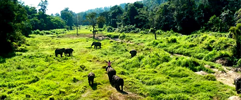 ガネーシャ マスター・オブ・ジャングルの画像
