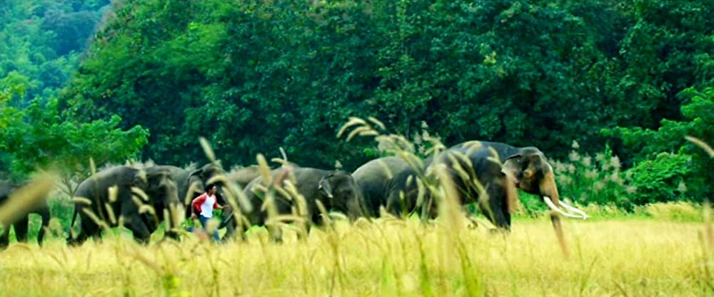 ガネーシャ マスター・オブ・ジャングルの画像