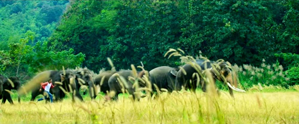 ガネーシャ マスター・オブ・ジャングルの画像