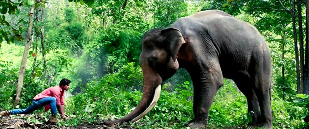 ガネーシャ マスター・オブ・ジャングルの画像