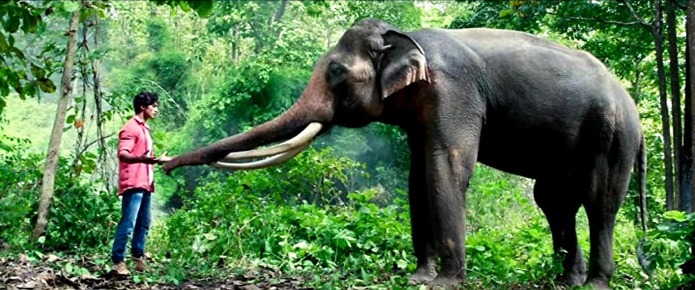 ガネーシャ マスター・オブ・ジャングルの画像