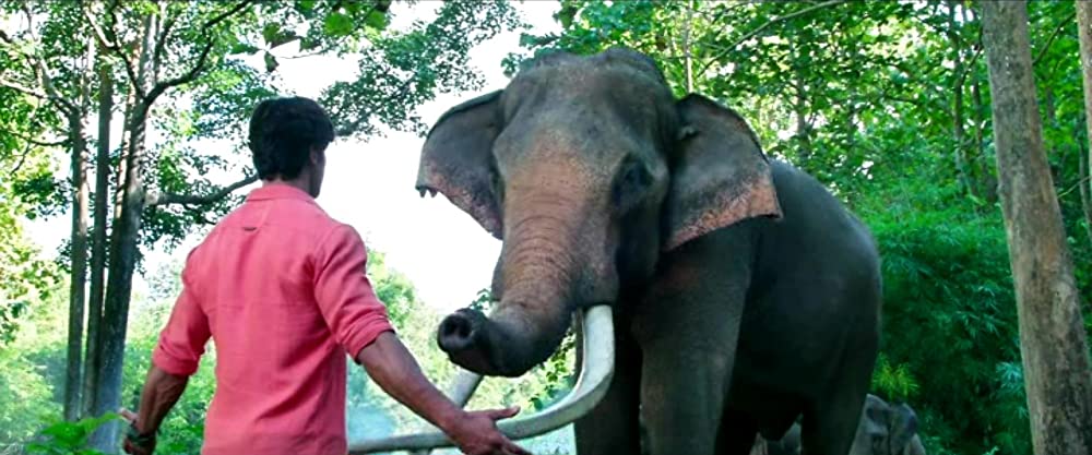 ガネーシャ マスター・オブ・ジャングルの画像