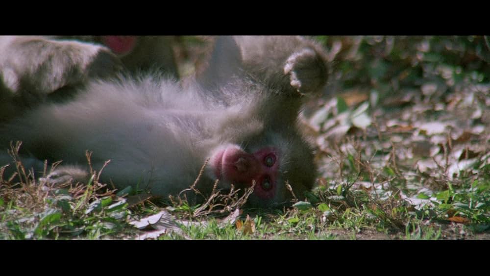 子連れ狼 子を貸し腕貸しつかまつるの画像