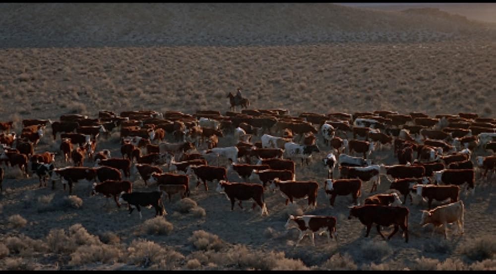 ウィル・ペニーの画像