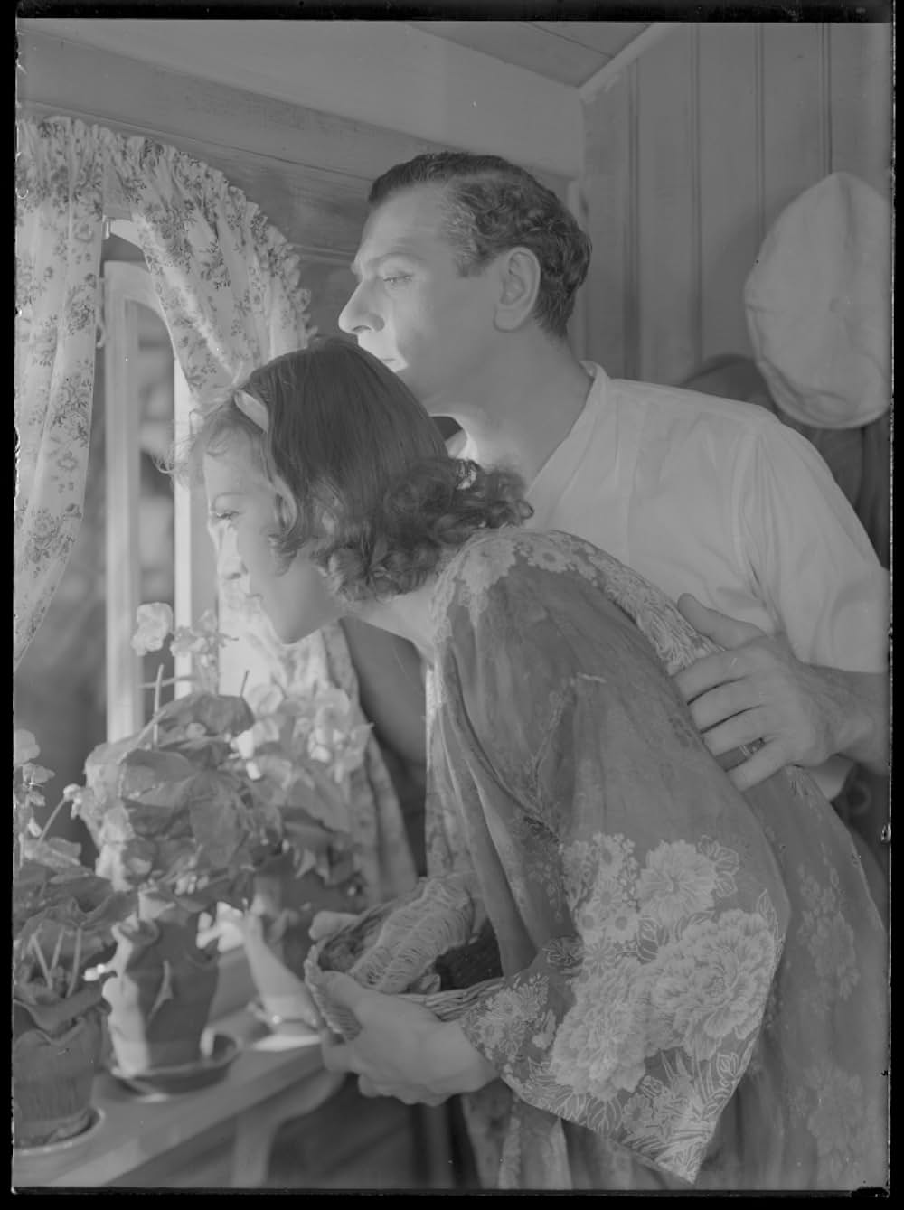 一夜かぎりの画像