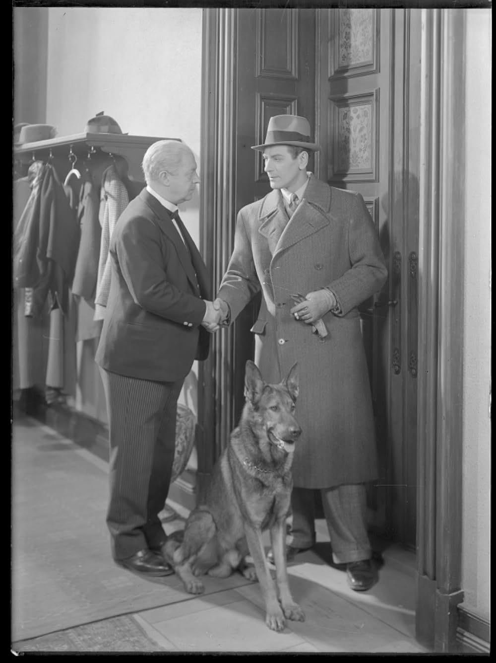 一夜かぎりの画像