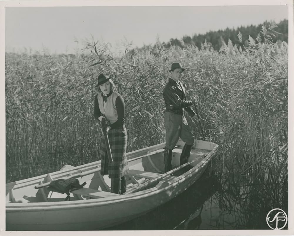 一夜かぎりの画像